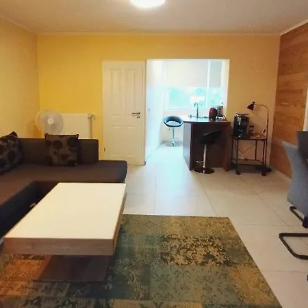 River View Near Frankfurt - 3 Rooms-4 Beds & 1 Sofa Bed -air Condition- Private Parking Apartment *