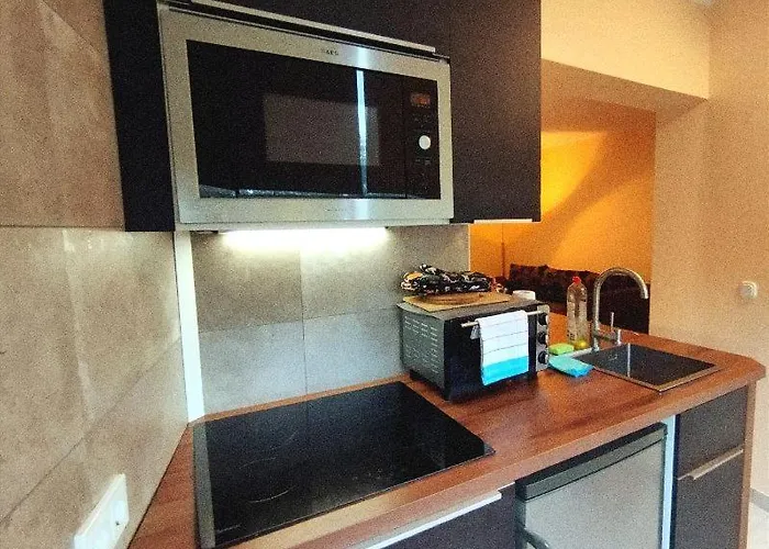 Apartmán River View Near Frankfurt - 3 Rooms-4 Beds & 1 Sofa Bed -air Condition- Private Parking