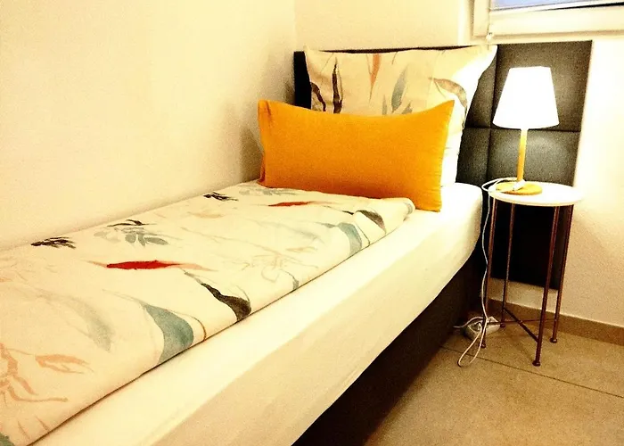 Appartement River View Near Frankfurt - 3 Rooms-4 Beds & 1 Sofa Bed -air Condition- Private Parking *